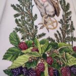 Watercolor and graphite illustration depicting a barn owl as a witches familiar, clutching in one claw a gold leaf pentagram. This piece features the owl familiar surrounded by different plants that symbolize and attract them: blackberries, aster, and pine.