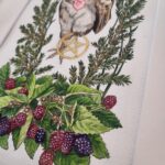 Watercolor and graphite illustration depicting a barn owl as a witches familiar, clutching in one claw a gold leaf pentagram. This piece features the owl familiar surrounded by different plants that symbolize and attract them: blackberries, aster, and pine.