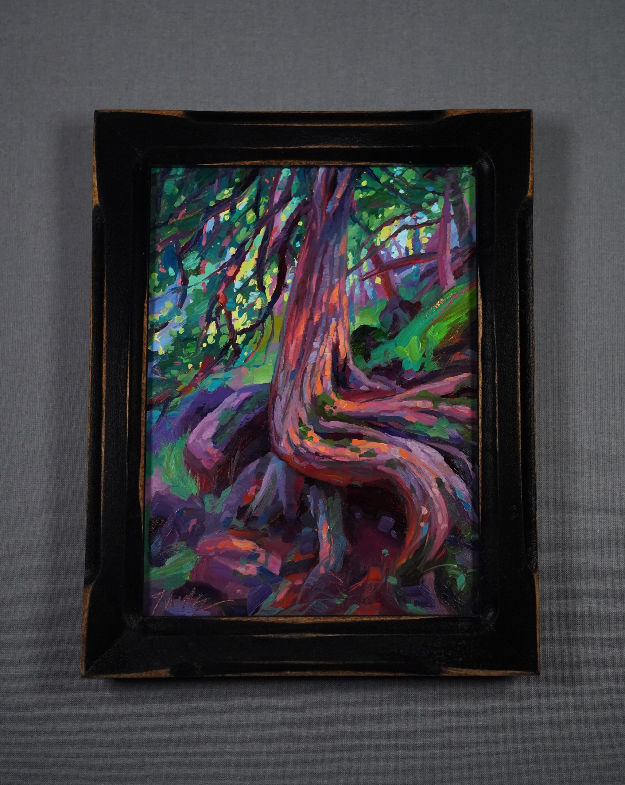 Plein air oil painting of a twisted cedar tree displayed in a dark wooden frame with warm edge highlights, set against a neutral gray background.