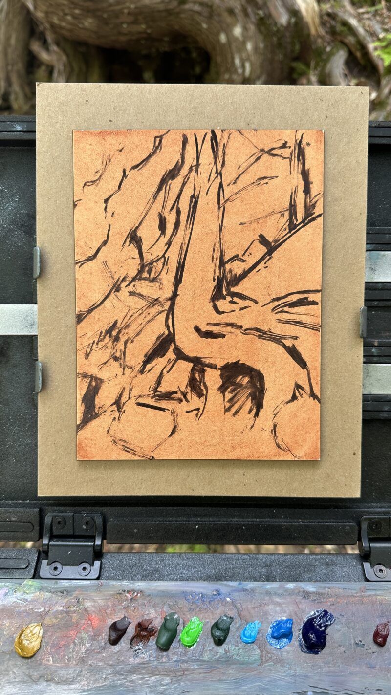 A plein-air underdrawing on a warm-toned panel showing loose brush and line work sketching the trunk and roots of a cedar tree, resting on an outdoor easel with a palette of oil paints below.