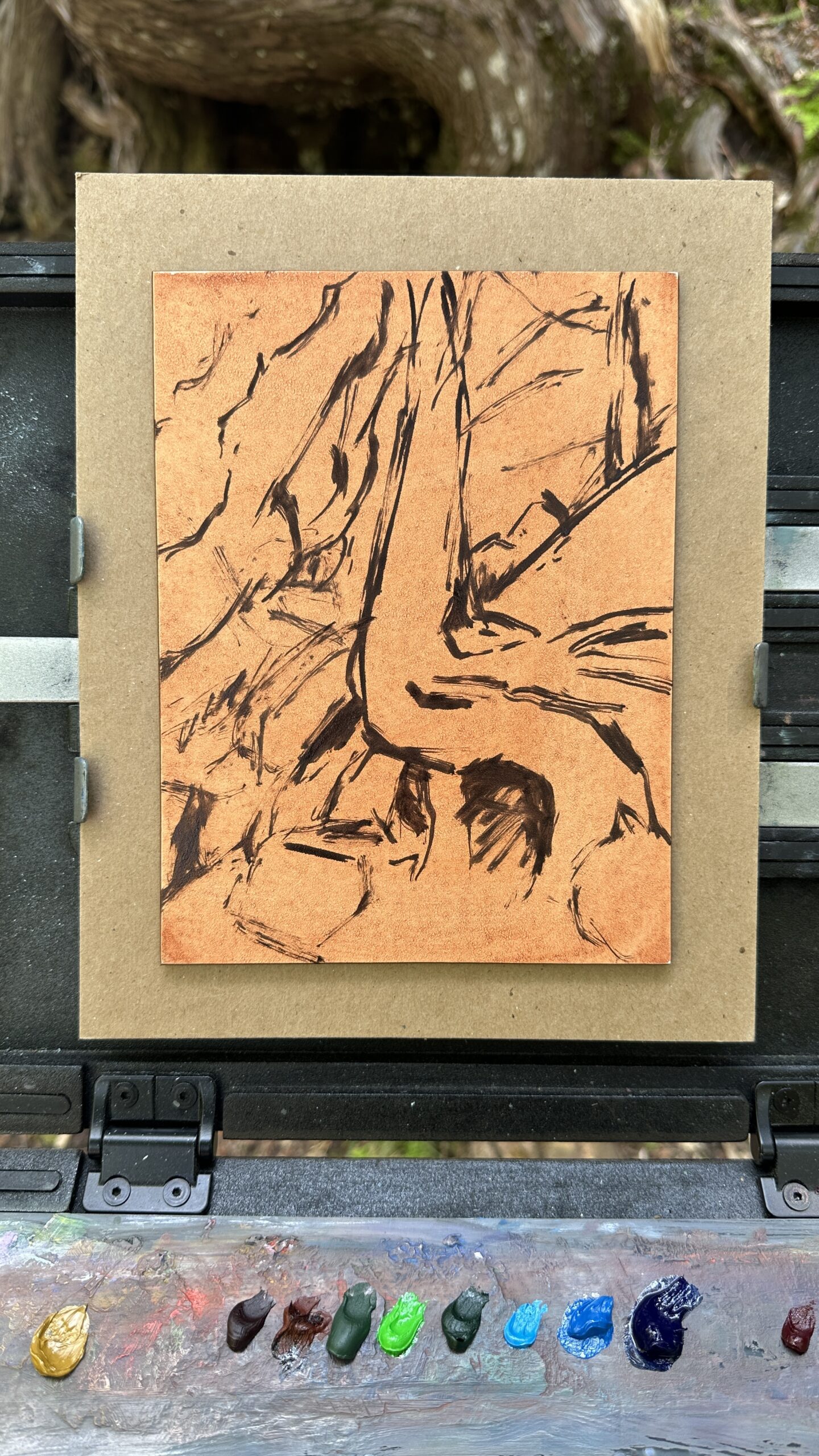 A plein-air underdrawing on a warm-toned panel showing loose brush and line work sketching the trunk and roots of a cedar tree, resting on an outdoor easel with a palette of oil paints below.