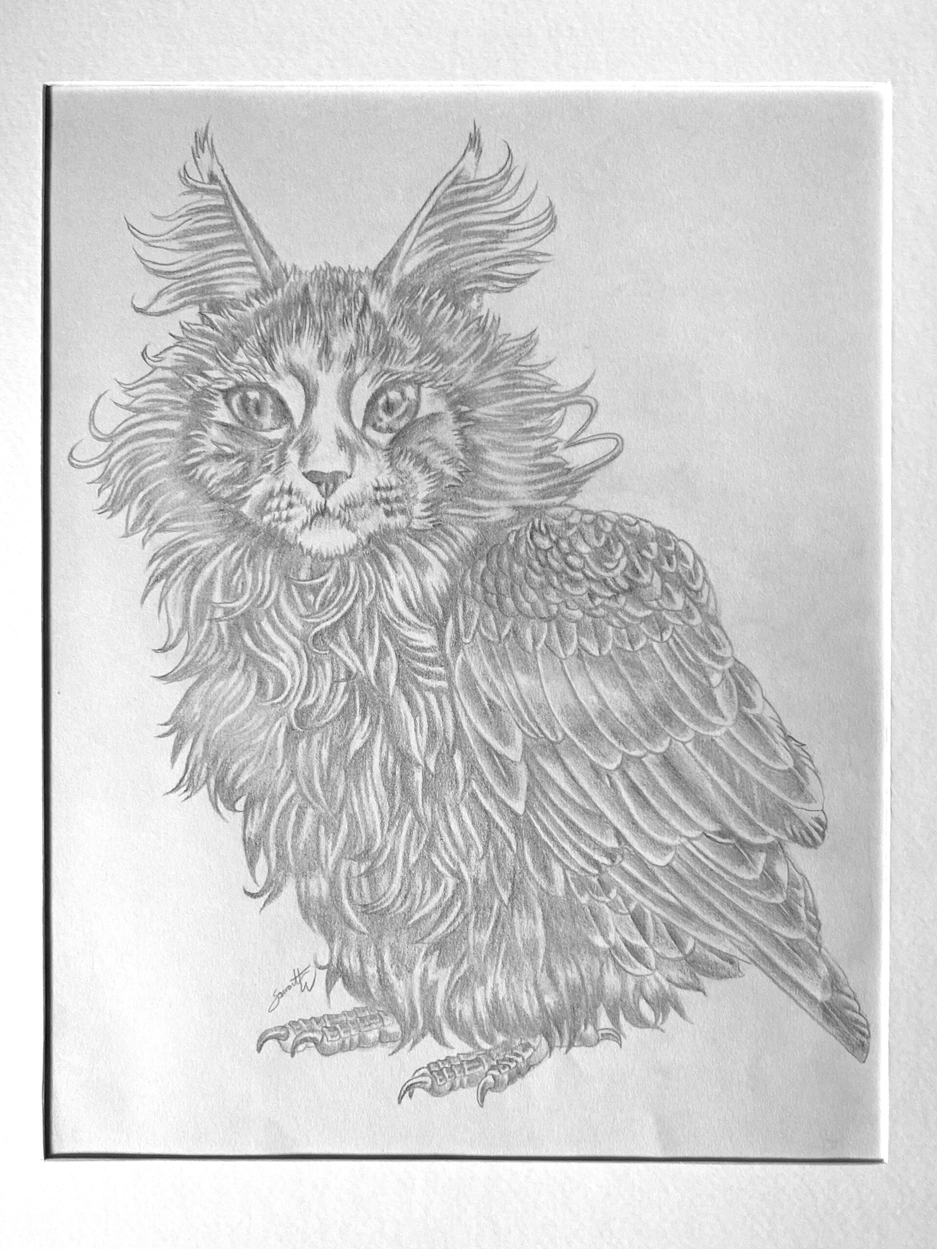 Chestnut The Meowl - Image 3