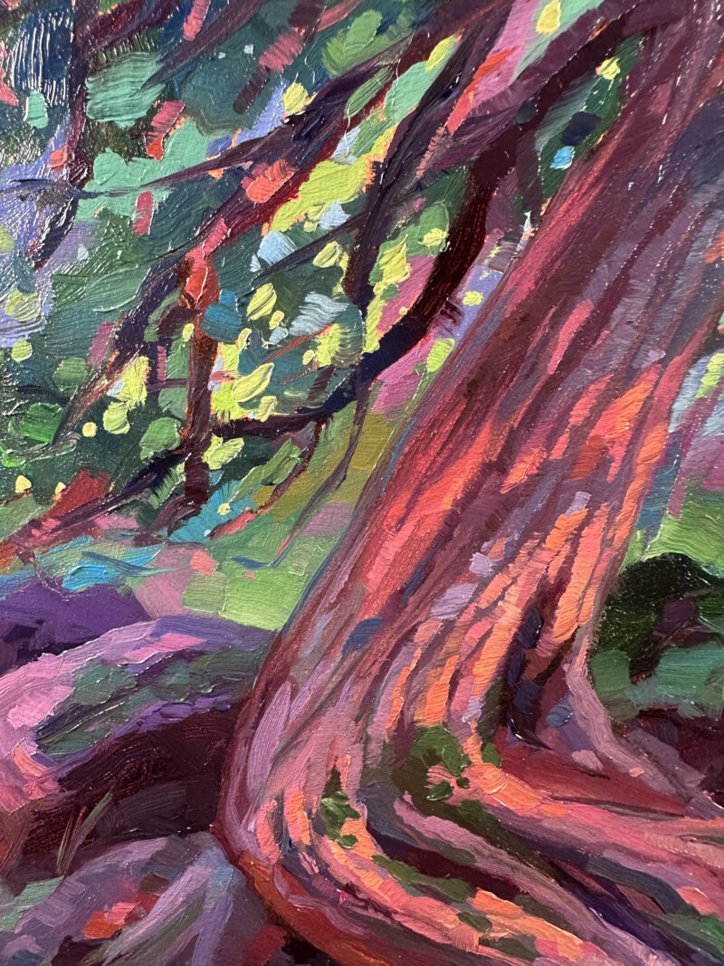 Close-up detail of an oil painting showing vibrant brushstrokes of a cedar tree trunk, roots, and dappled green foliage in expressive, colorful strokes.