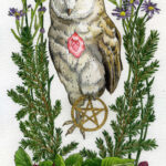 Watercolor and graphite illustration depicting a barn owl as a witches familiar, clutching in one claw a gold leaf pentagram. This piece features the owl familiar surrounded by different plants that symbolize and attract them: blackberries, aster, and pine.