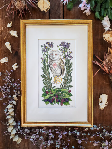 Watercolor and graphite illustration depicting a barn owl as a witches familiar, clutching in one claw a gold leaf pentagram. This piece features the owl familiar surrounded by different plants that symbolize and attract them: blackberries, aster, and pine.