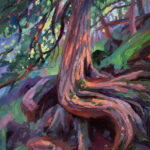A vibrant oil painting of a twisted cedar tree with colorful exposed roots, dappled forest light, and rich greens and purples in a northern woodland setting.