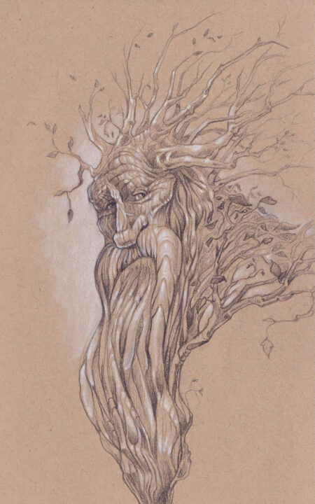 The full drawing of Treebeard, graphite and white charcoal on toned paper.