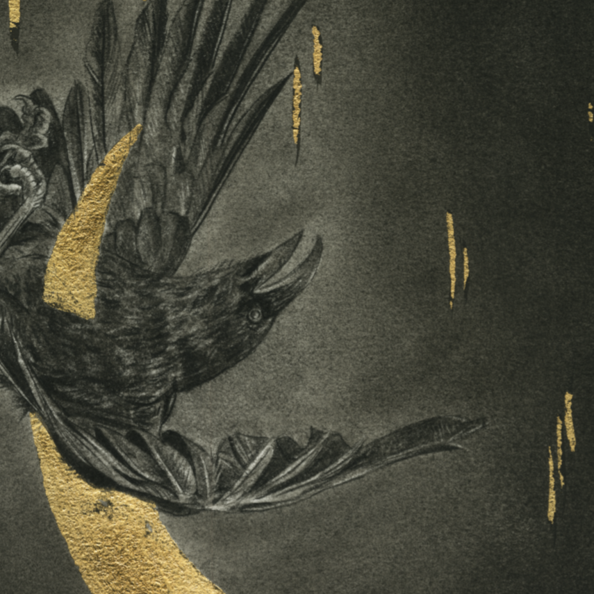 The Night Fall - Image 2