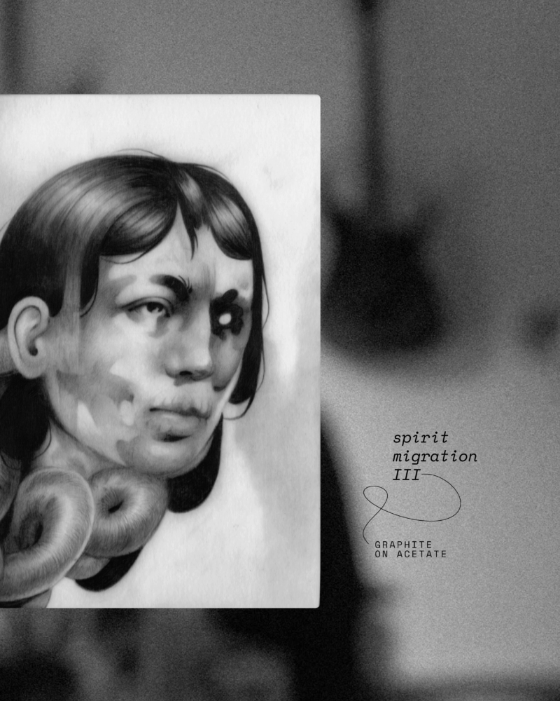 Spirit Migration III