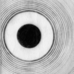 Spirit Migration III