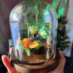 'Sybil's Gaze' by Tia Kinsman