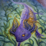 Close-up of axolotl painting