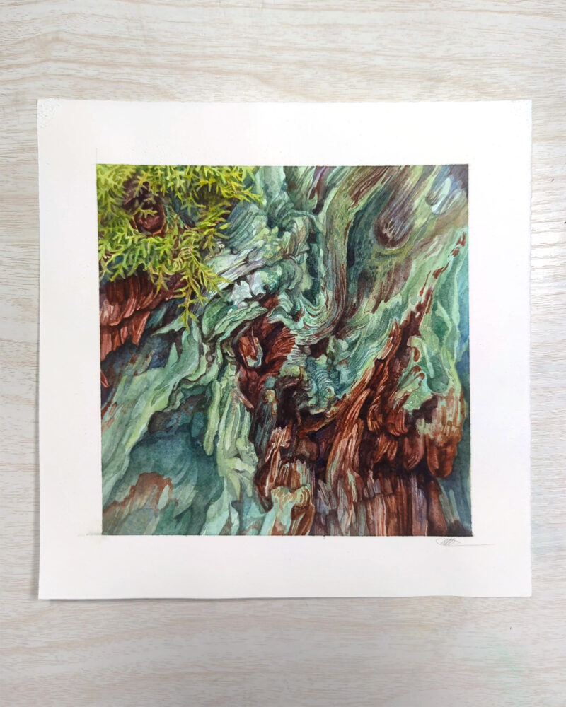 Flesh Wound, detail 2