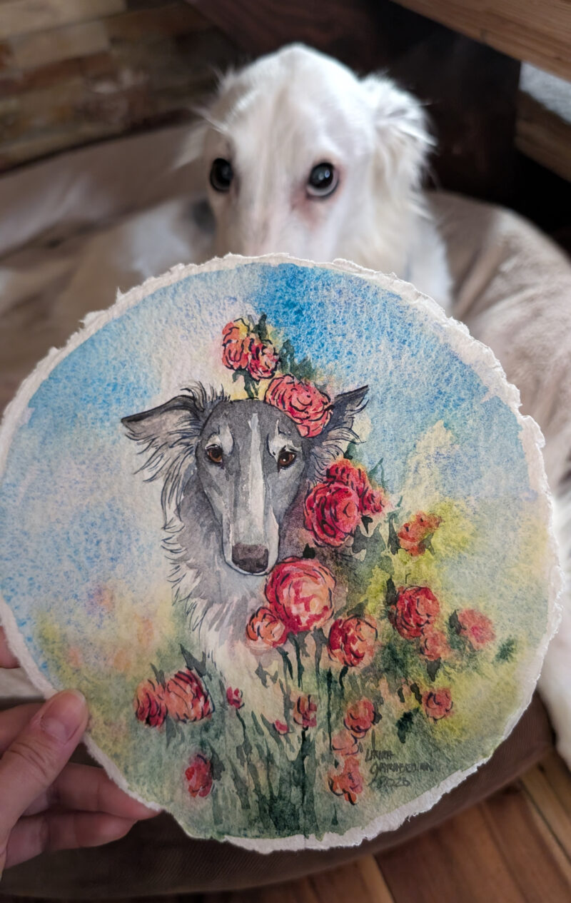 watercolor painting of a silvery silken windhound in an abstracted field of roses