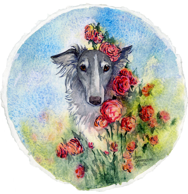 watercolor painting of a silvery silken windhound in an abstracted field of roses