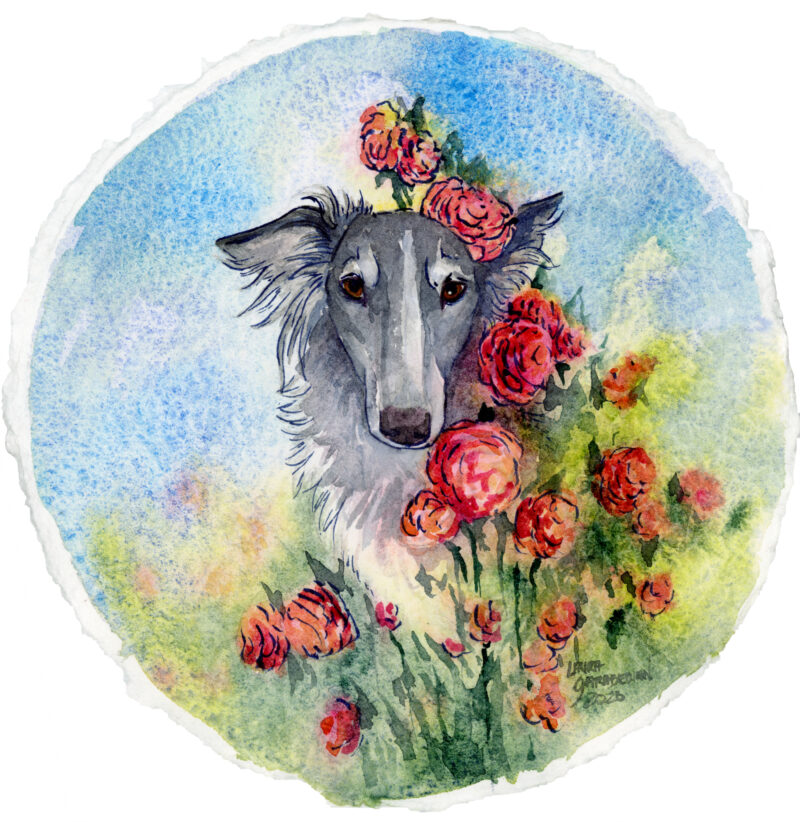 watercolor painting of a silvery silken windhound in an abstracted field of roses