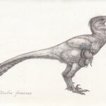 Pencil drawing of the feathered theropod dinosaur, Troodon, with a lizard prey.