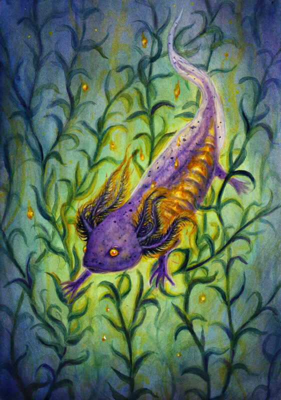 Painting of axolotl with fire within swimming underwater