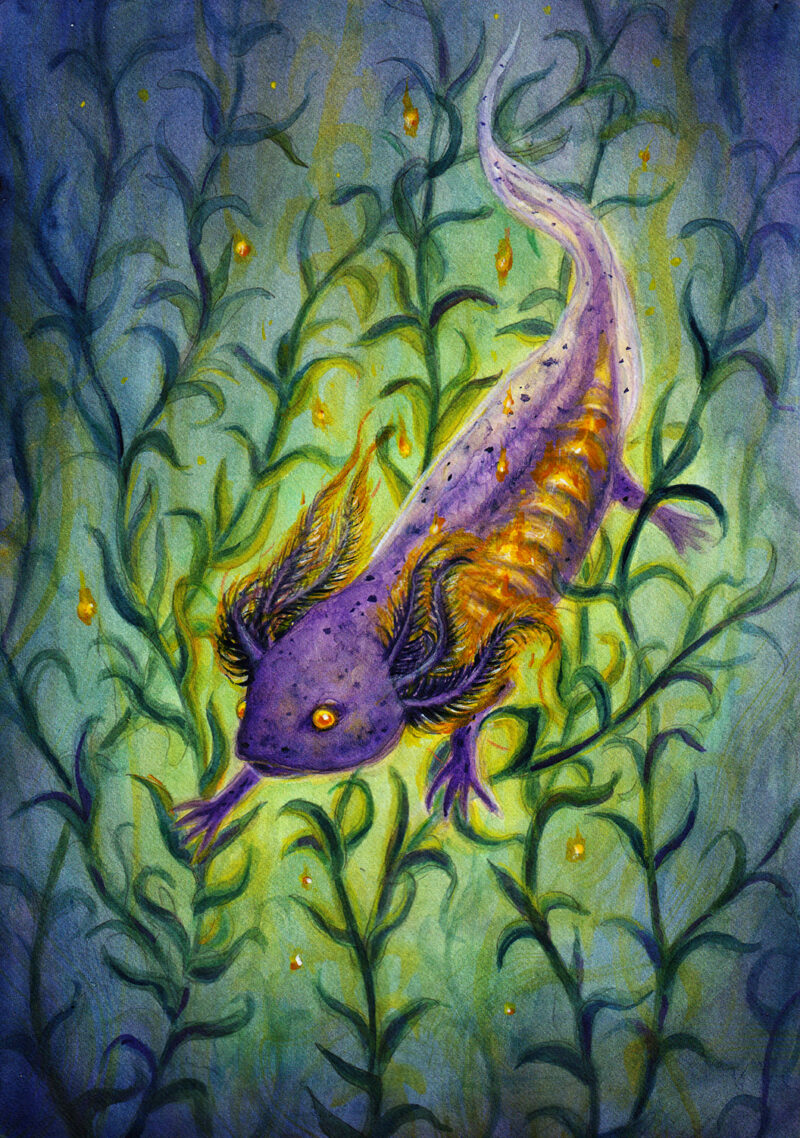 Painting of axolotl with fire within swimming underwater