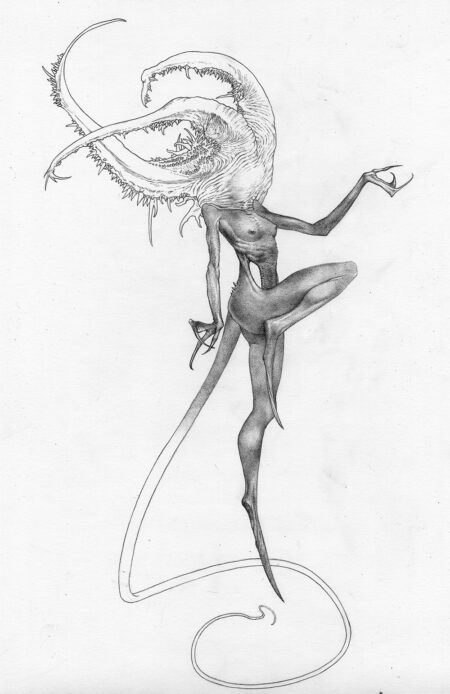 Allen WIlliams Scylla