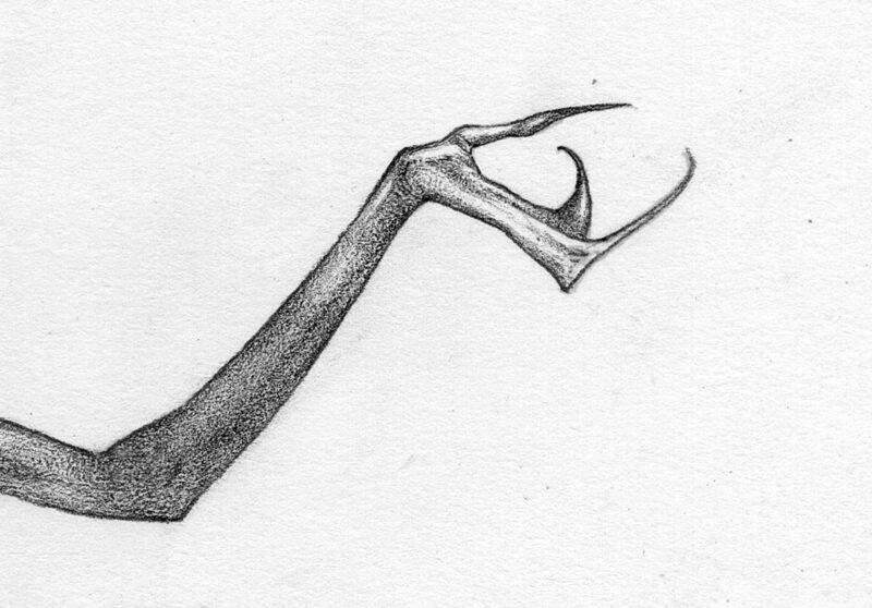 Allen Williams Scylla Detail 1