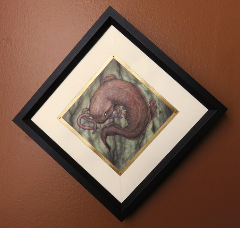 Original art of an Eastern Hellbender, eating nightcrawlers
