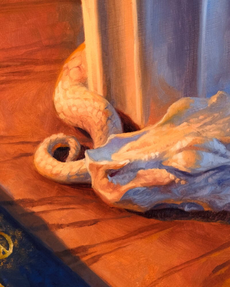 Cirrus, Wizard's Familiar Close Up