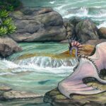 Flat view of the illustration. A white dragon with pink and purple undertones sits on a mossy rock looking at a fish in a blue-green pool of water below a small waterfall surrounded by rocks in a river