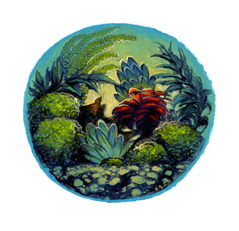 "Terrarium IV" -- by Danny Schwartz