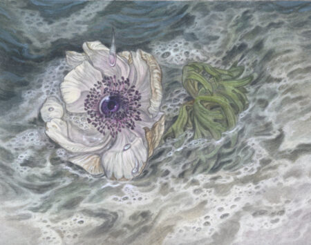 "Adonis" - by Hope Doe