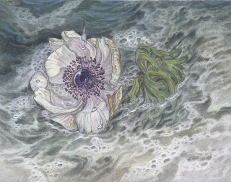 "Adonis" - by Hope Doe