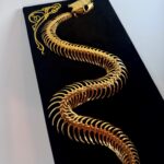 Golden snake skeleton undulates across black velvet