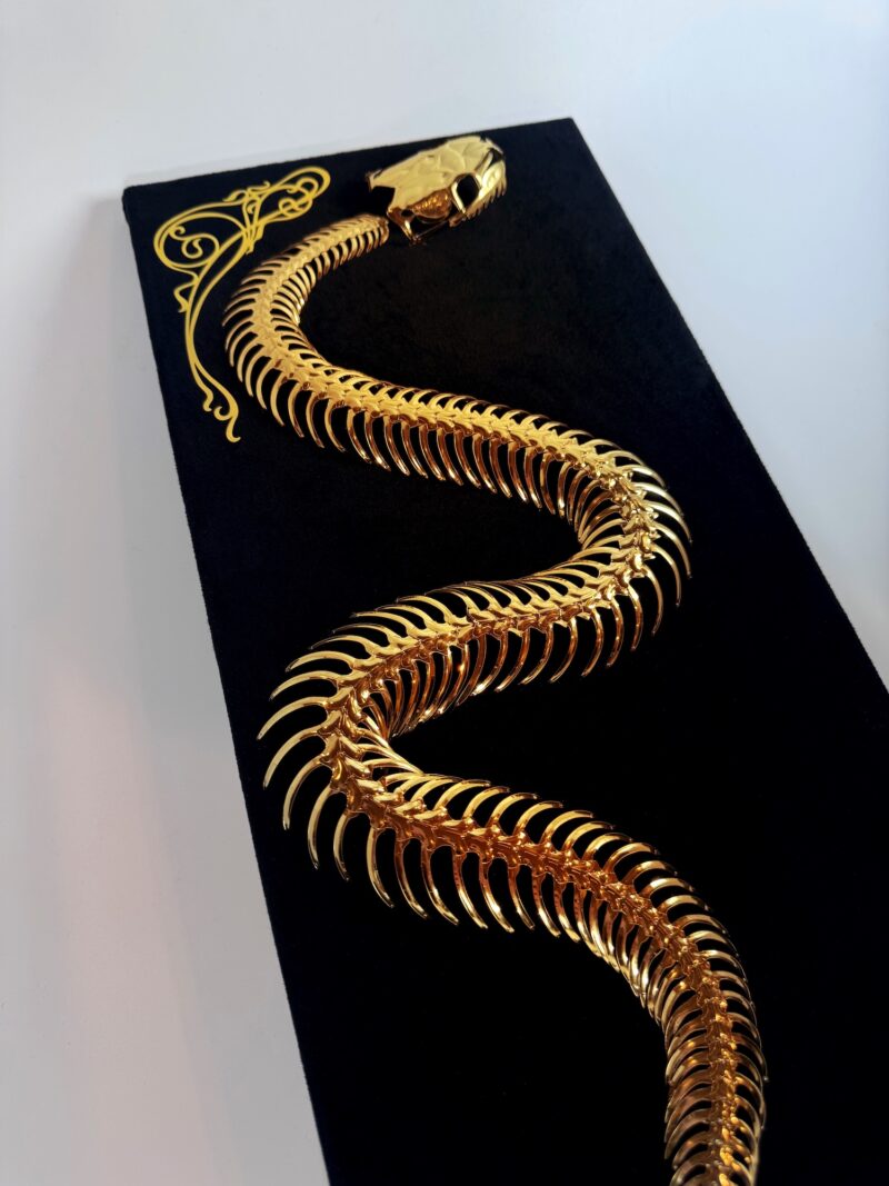 Golden snake skeleton undulates across black velvet