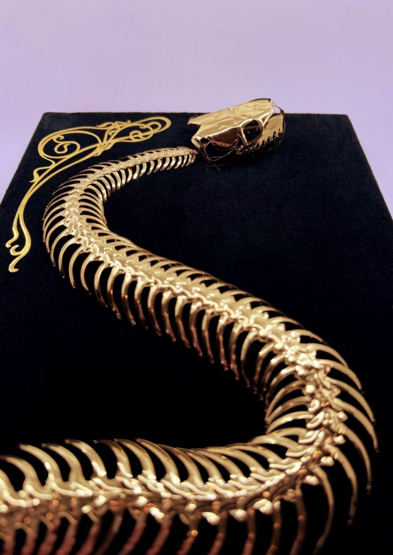 Golden snake skeleton undulates across black velvet