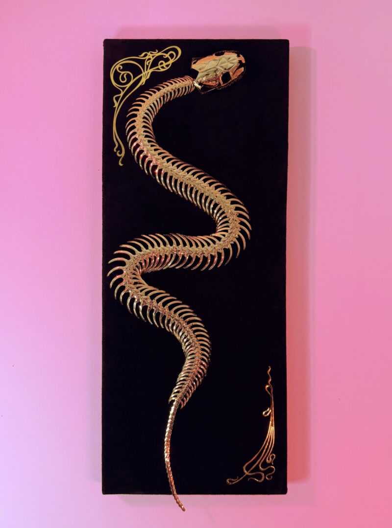 Golden snake skeleton undulates across black velvet