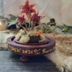 'Omen" by Tia Kinsman