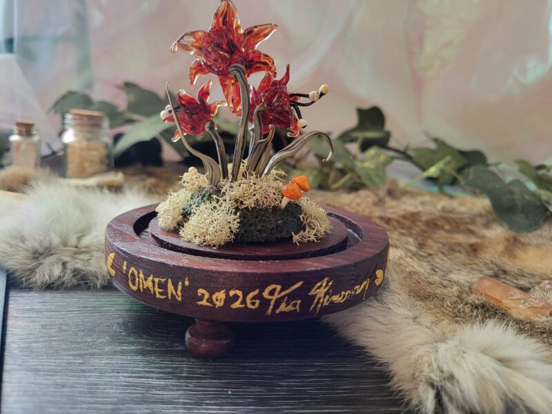 'Omen" by Tia Kinsman