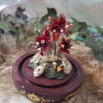 'Omen" by Tia Kinsman