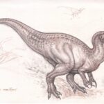 Pencil sketch of the dinosaur, Baryonyx.