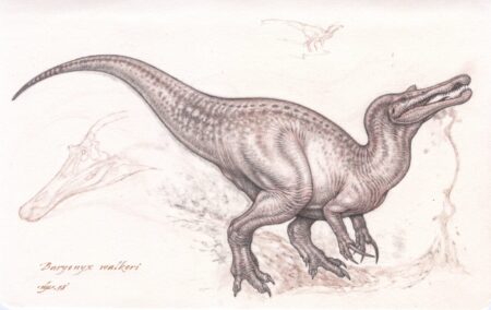 Pencil sketch of the dinosaur, Baryonyx.