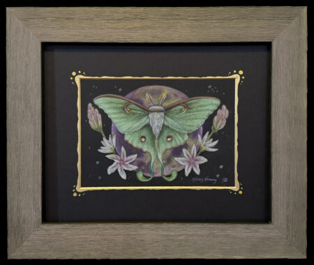 Luna moth in front of moon, star flowers encircling for decor