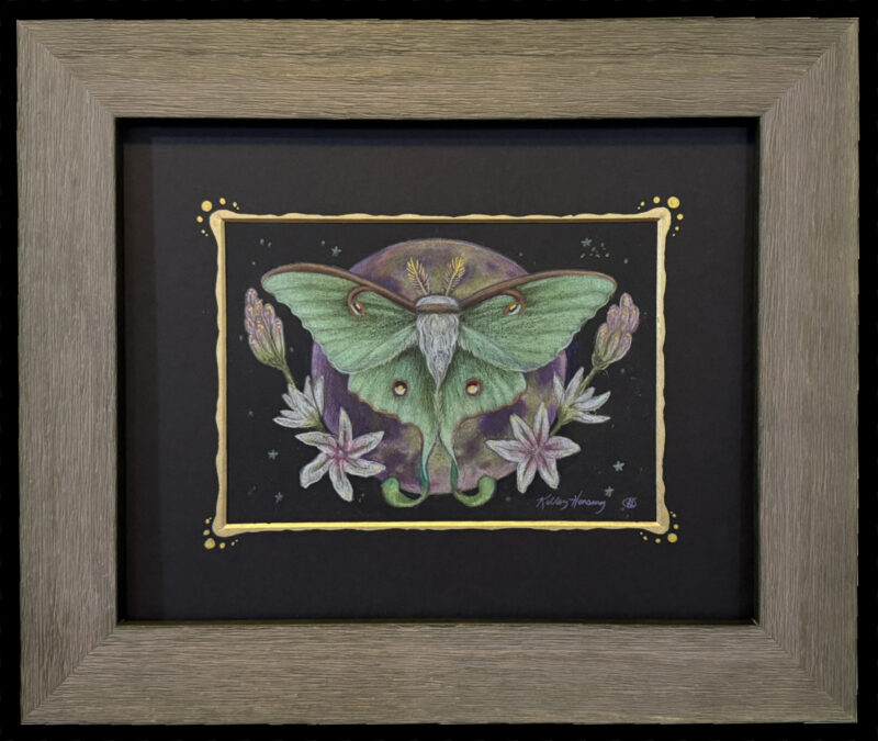 Luna moth in front of moon, star flowers encircling for decor
