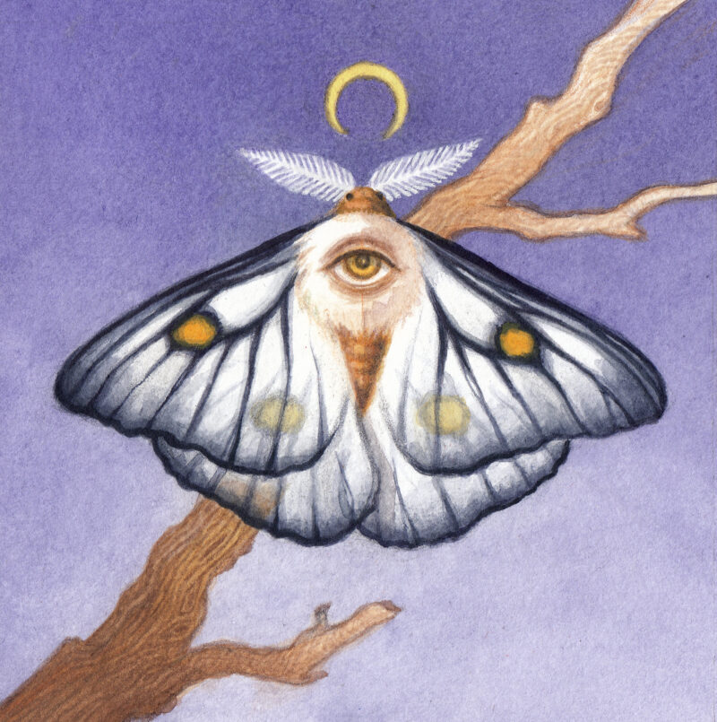 "Ghost Moth" - by Angelika Rasmus