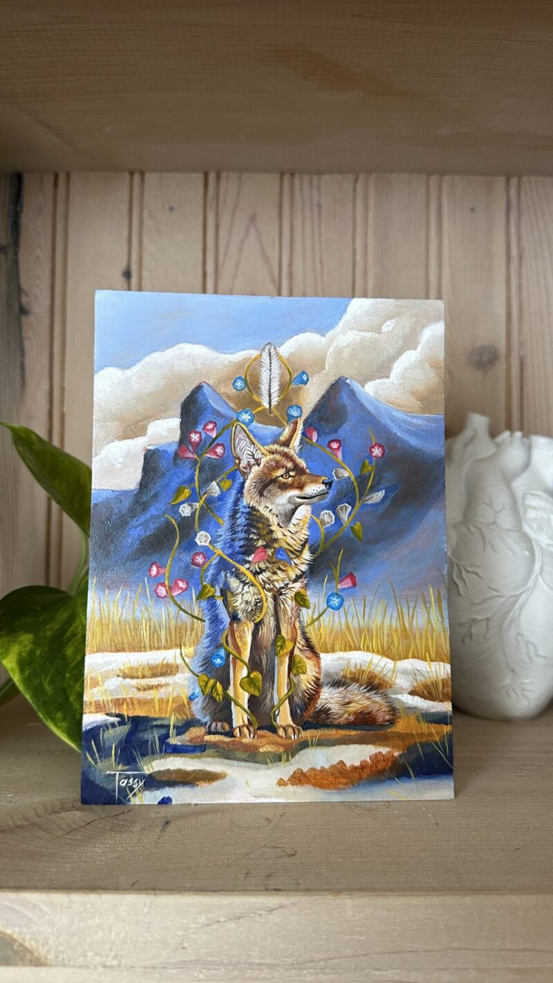 You are complete in shelf