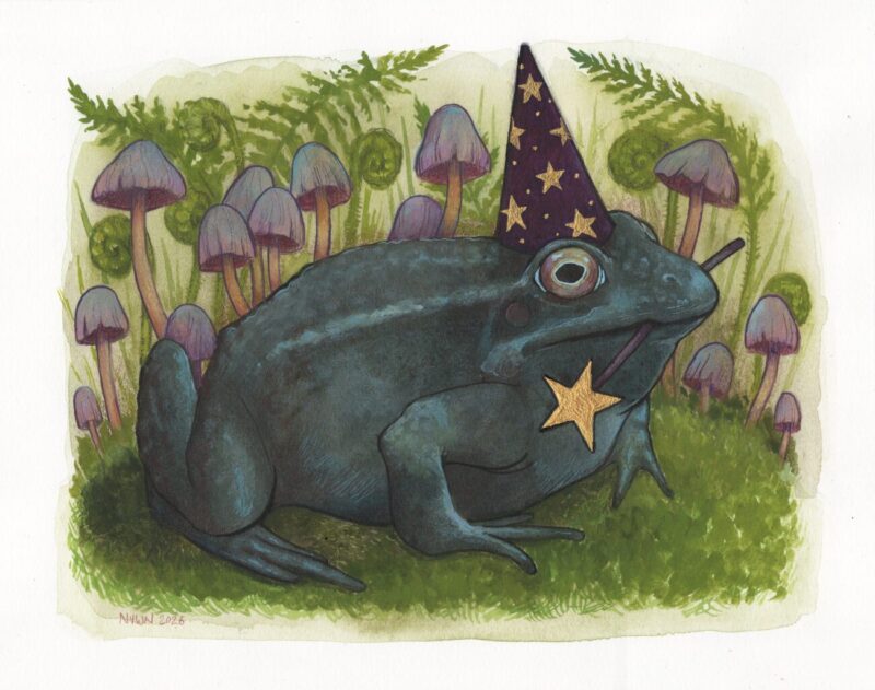Watercolour painting of a frog with a wizard hat