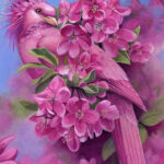 Apple Blossom Birdflower