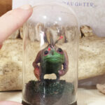 Clawed Hopper Specimen Jar
