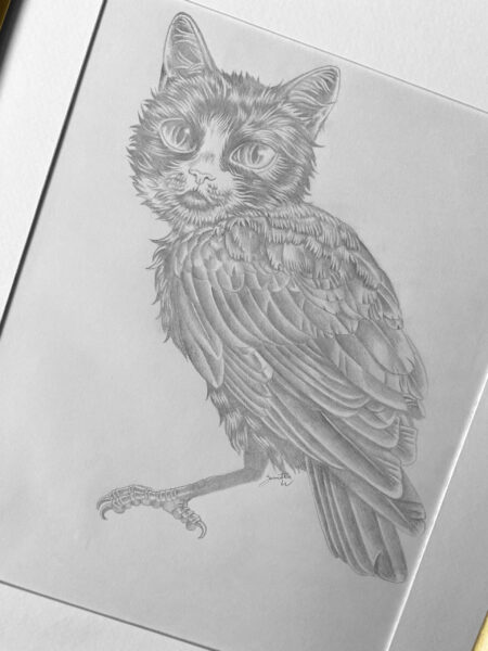 Iris The Meowl