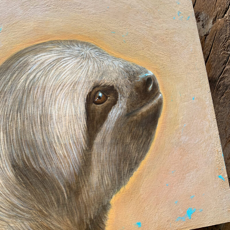 KING SLOTH | Artist Carolina Lebar