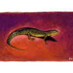 "Newt Room II" -- by Danny Schwartz